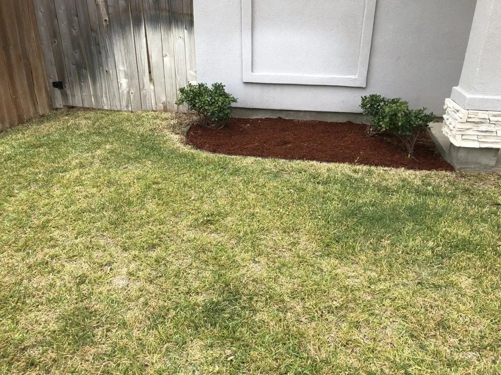 Reliable yard maintenance in Laredo, TX - United Lawn Care Services