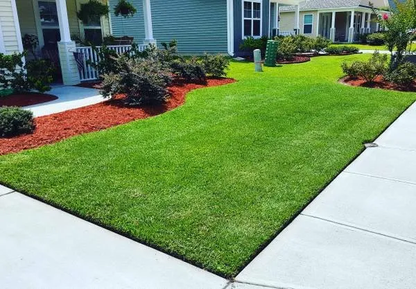 Trusted yard cleanup service near you across Wilmington, NC - United Lawn Care