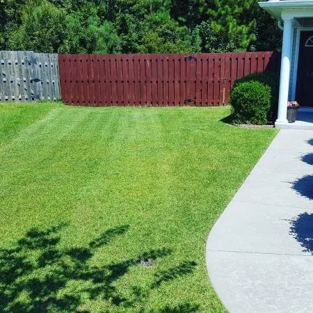 Affordable residential landscaping for outdoor upgrades in Wilmington, NC by United Lawn Care