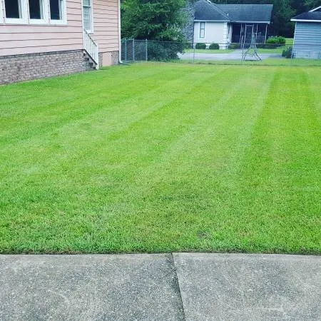 Expert landscape design in Wilmington, NC - United Lawn Care