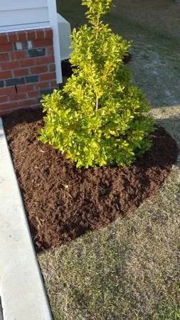 Custom lawn mowing service in Wilmington, NC - United Lawn Care