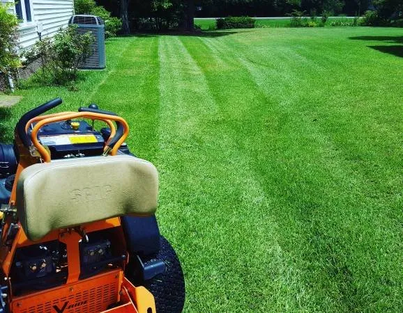 Top-rated outdoor landscaping in Wilmington, NC by United Lawn Care