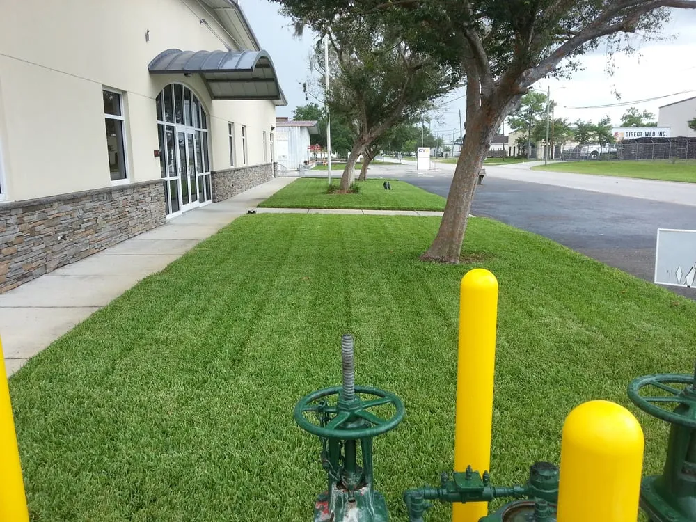 Top-rated yard cleanup service in Wilmington, NC by United Lawn Care