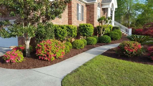 Affordable landscape design near you across Wilmington, NC - United Lawn Care