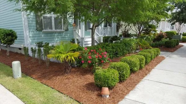Professional garden landscaping for residential properties across Wilmington, NC - United Lawn Care