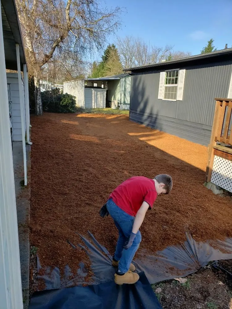 Local landscape installation in Eugene, OR by United Lawn Services