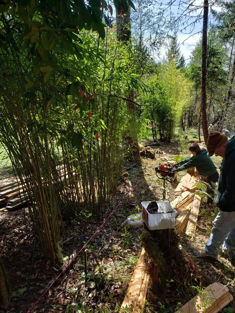 Local lawn mowing service for homes across Eugene, OR - United Lawn Services
