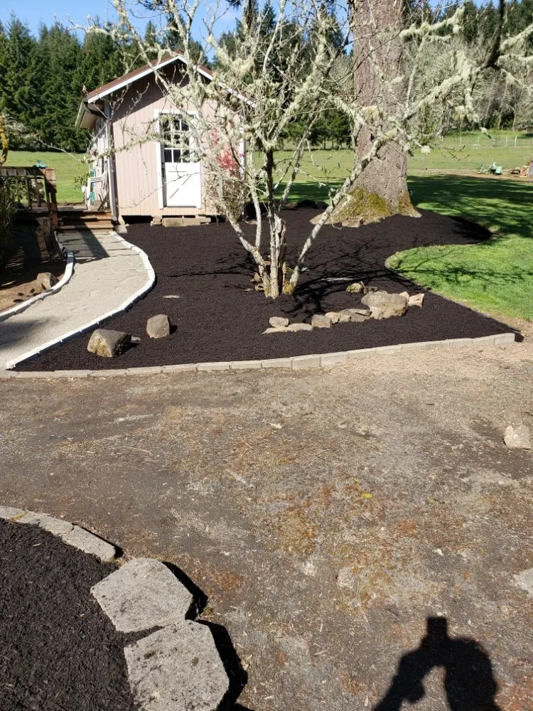 Trusted yard cleanup service in Eugene, OR by United Lawn Services