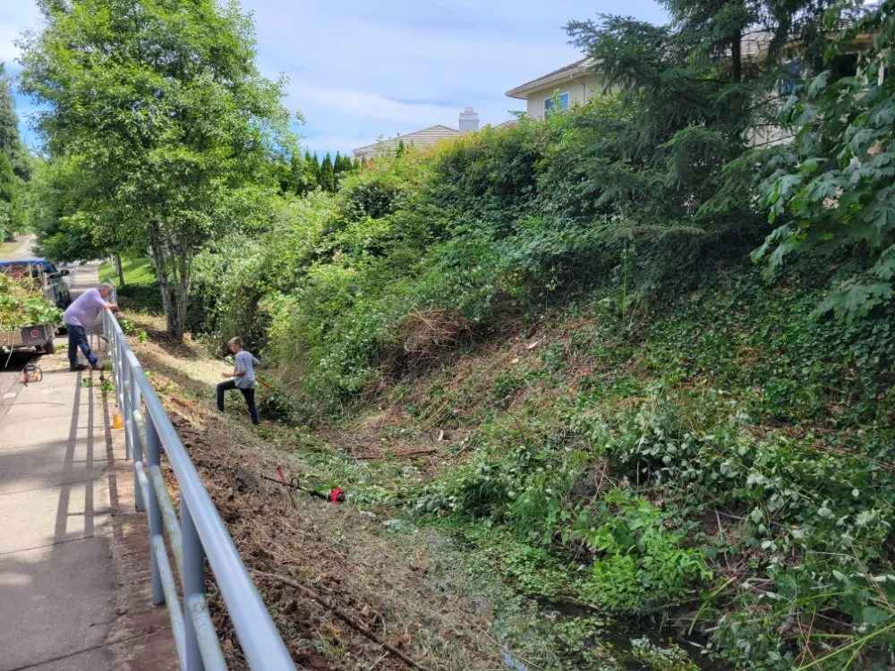 Custom lawn mowing service experts serving Eugene, OR - United Lawn Services