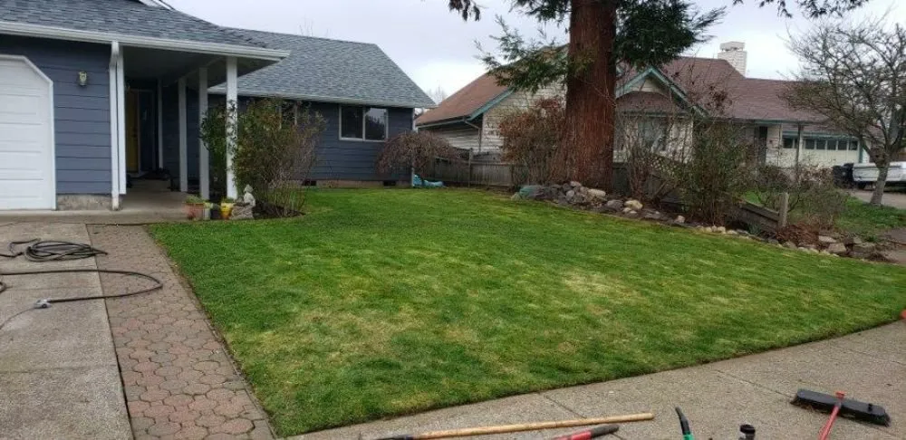 Professional landscape installation for homes across Eugene, OR - United Lawn Services