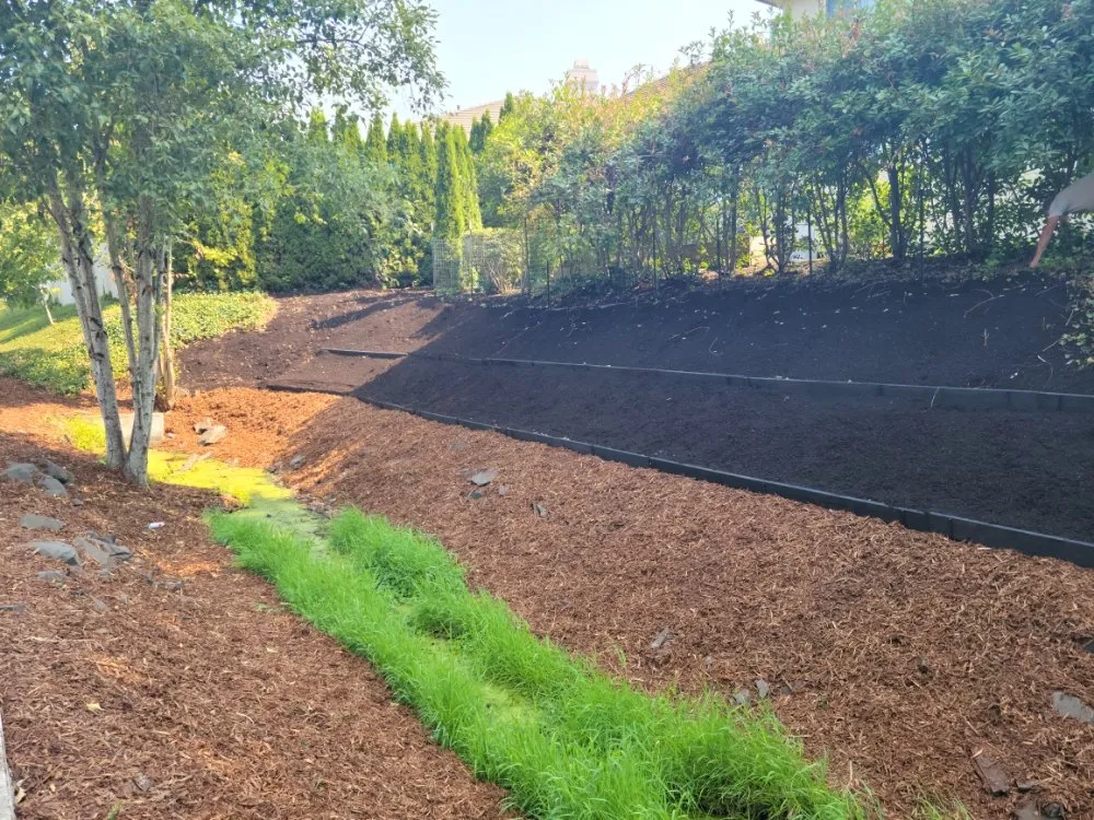 Professional landscaping services for homes across Eugene, OR - United Lawn Services