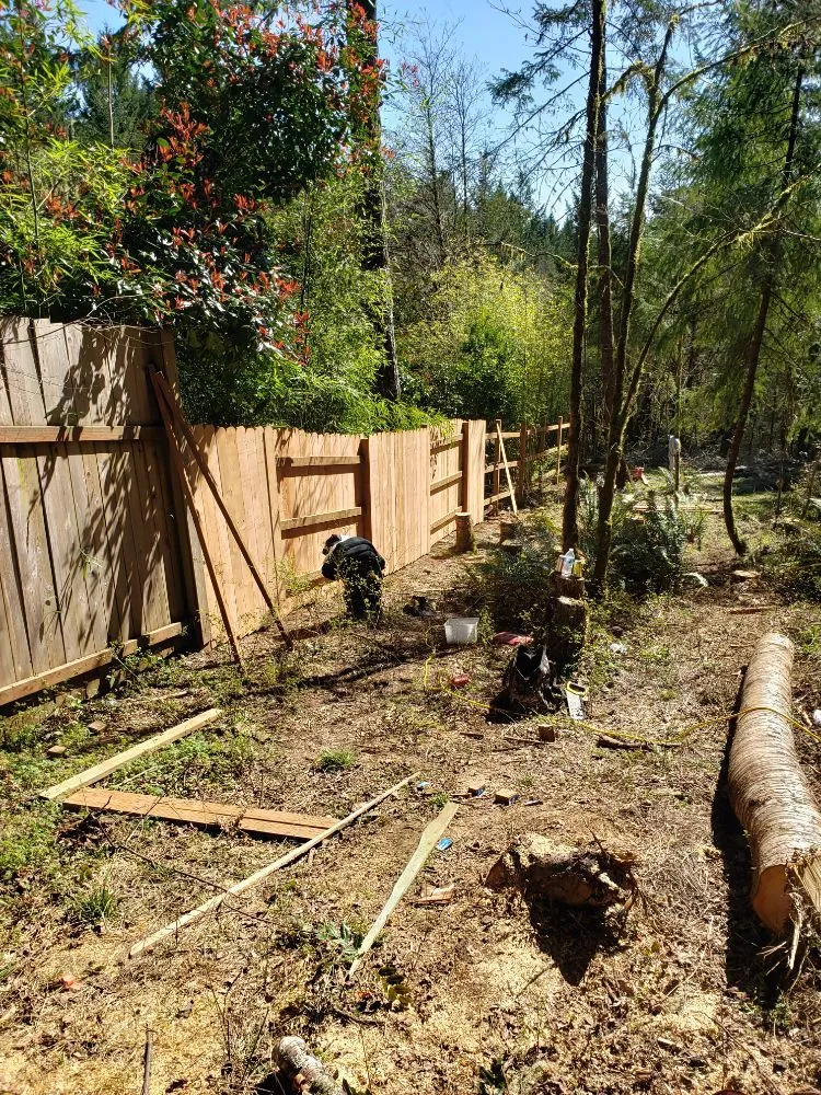 Custom yard cleanup service near you in Eugene, OR by United Lawn Services