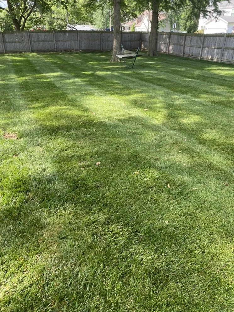 Trusted yard maintenance in Manchester, MO by United lawn services