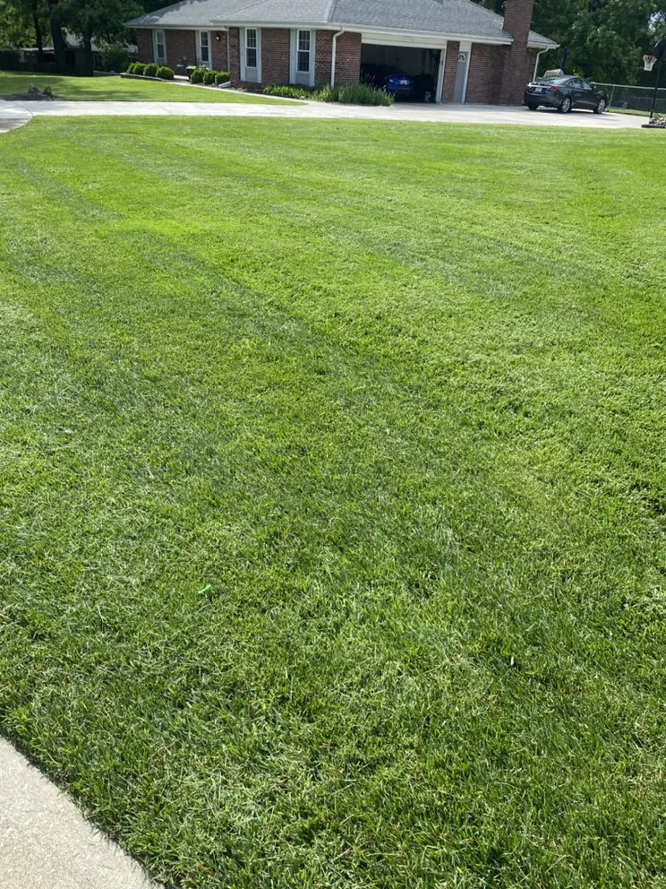 Reliable lawn mowing service in Manchester, MO - United lawn services