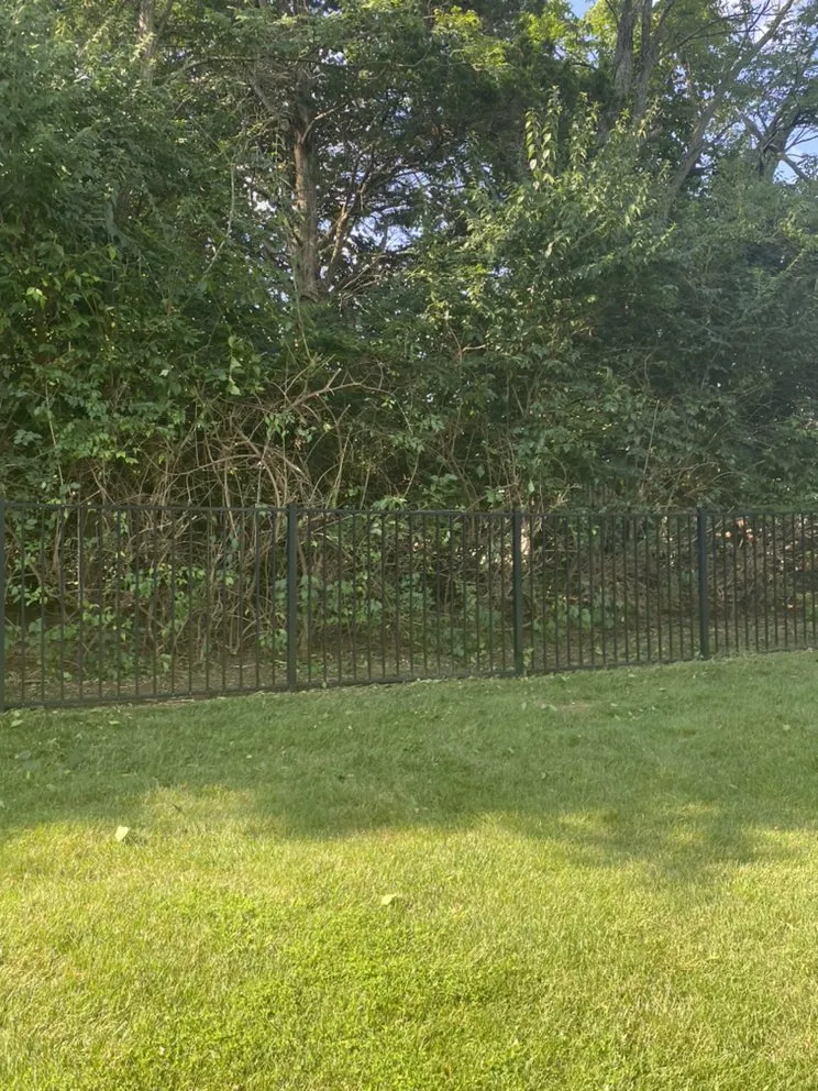 Professional landscape installation for residential properties across Manchester, MO - United lawn services