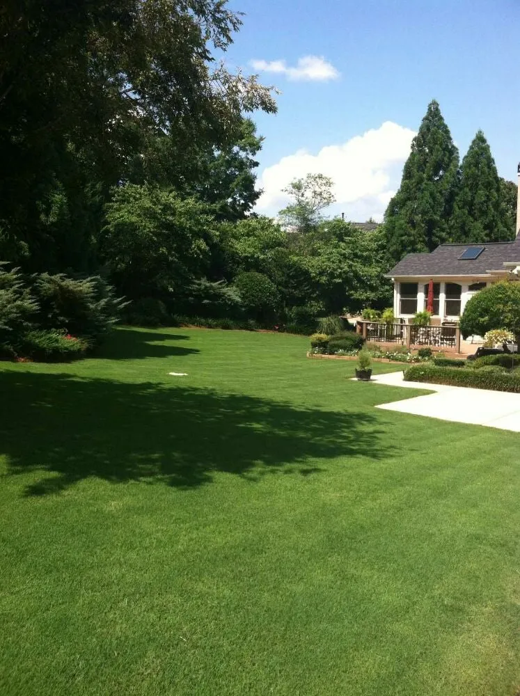 Affordable landscaping services in Newnan, GA by United Lawnscape