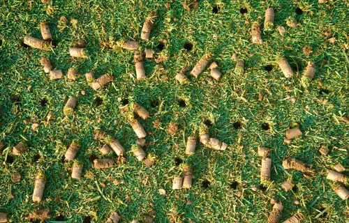 Local outdoor landscaping experts serving Newnan, GA - United Lawnscape