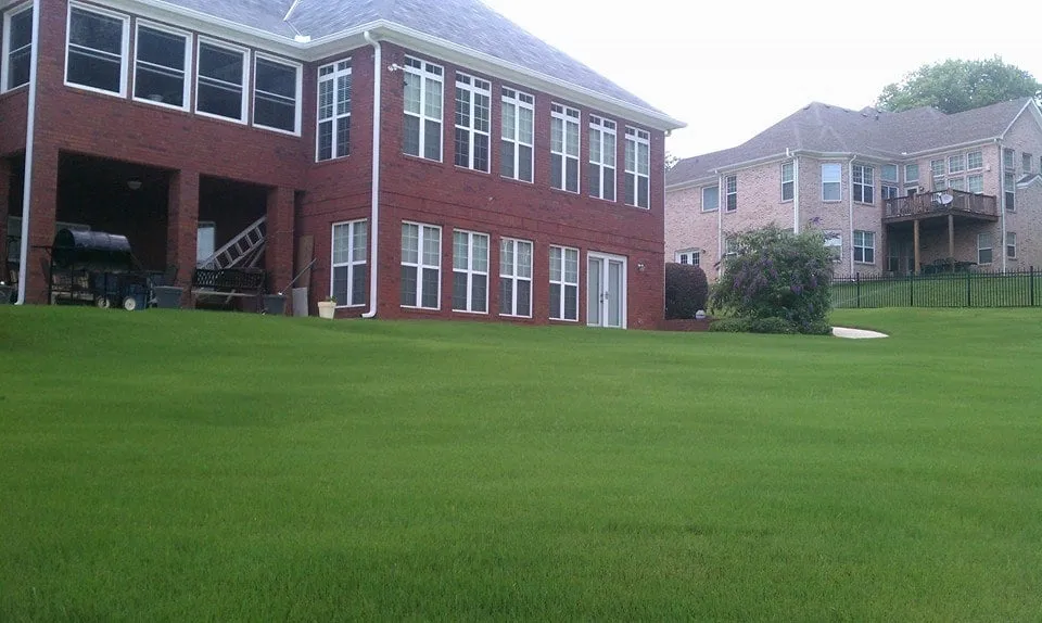Custom lawn mowing service in Newnan, GA by United Lawnscape