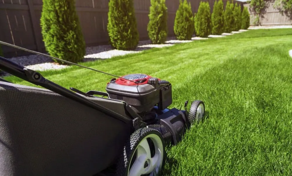 Professional residential landscaping for beautiful yards across San Antonio, TX - United Mowing Service