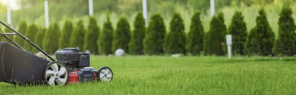 Reliable landscape design experts serving San Antonio, TX - United Mowing Service