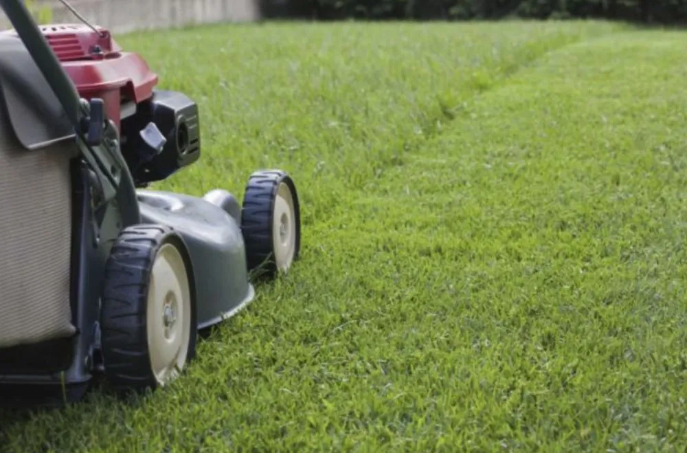 Affordable lawn mowing service in San Antonio, TX by United Mowing Service