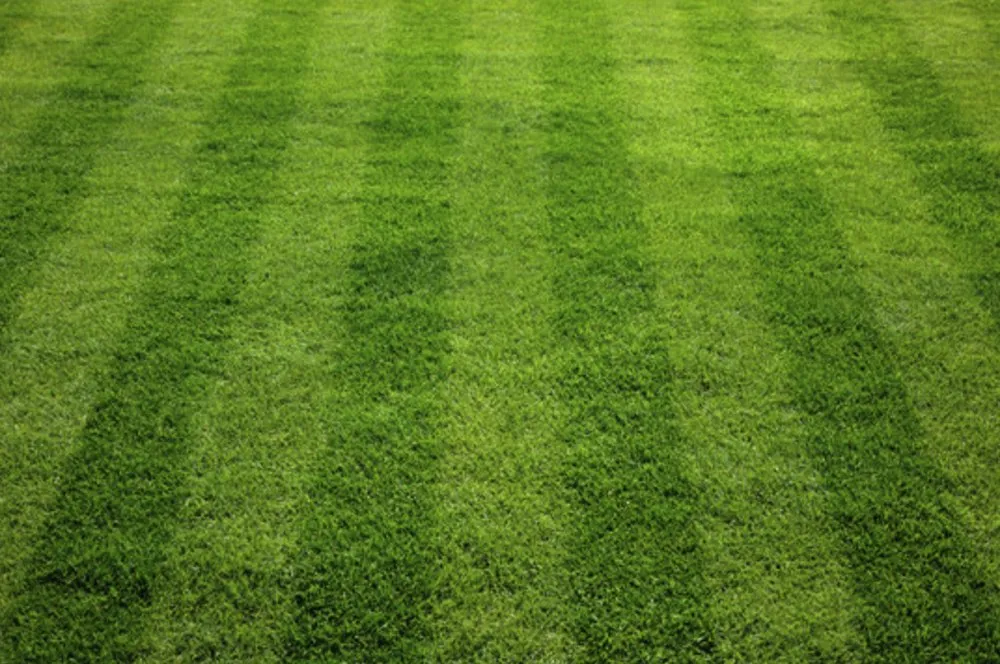 Custom landscape installation experts serving San Antonio, TX - United Mowing Service