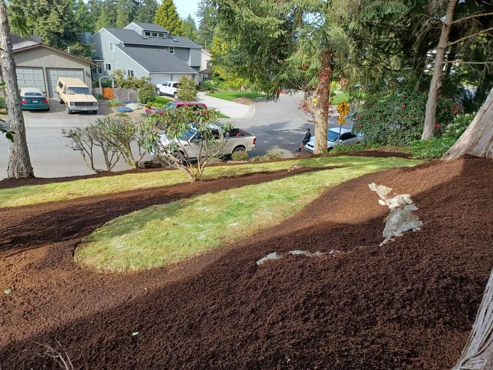 Affordable yard maintenance in Lynnwood, WA by United Nations Landscape