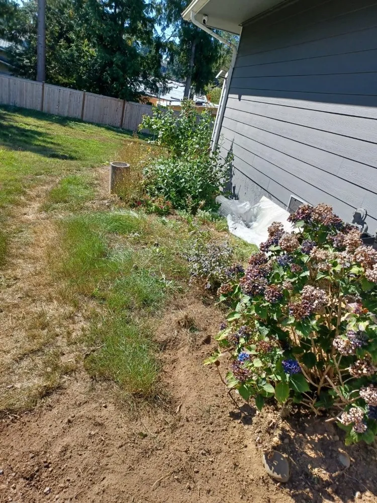 Reliable landscape design near you in Lynnwood, WA by United Nations Landscape