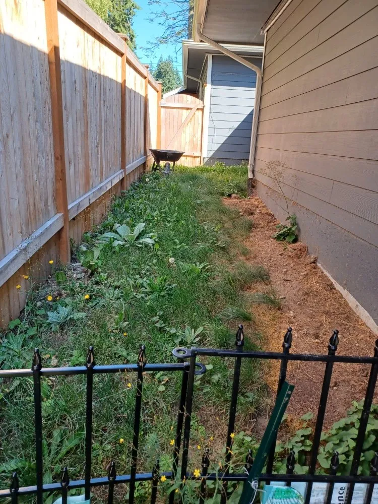 Expert yard cleanup service in Lynnwood, WA by United Nations Landscape