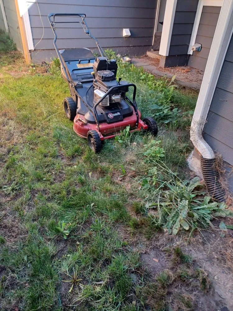 Reliable yard maintenance for outdoor upgrades across Lynnwood, WA - United Nations Landscape