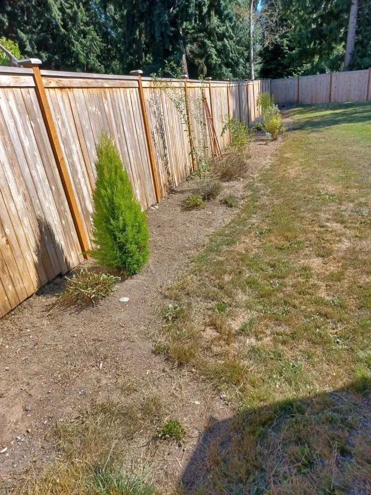 Affordable yard maintenance experts serving Lynnwood, WA - United Nations Landscape