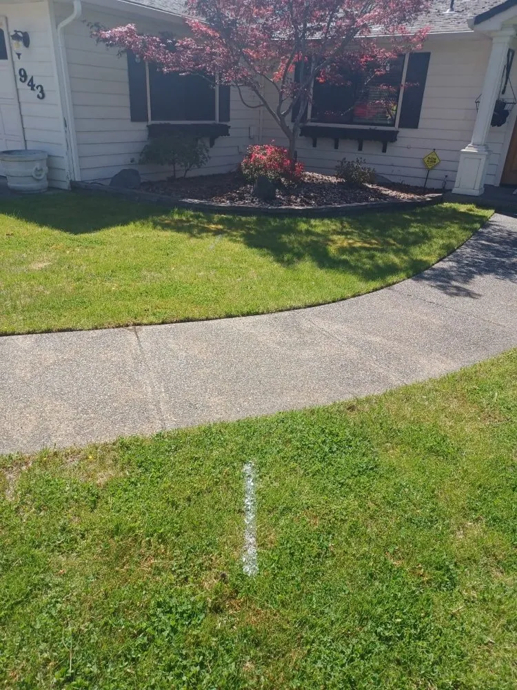 Top-rated landscaping services experts serving Lynnwood, WA - United Nations Landscape