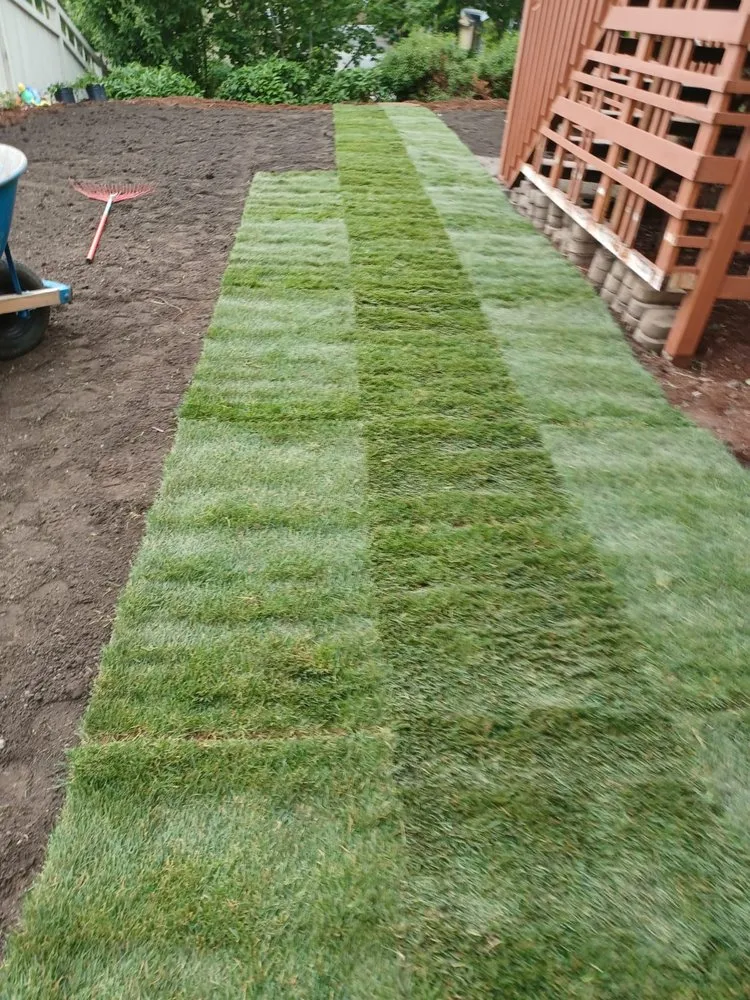 Local lawn care service for homes in Lynnwood, WA by United Nations Landscape