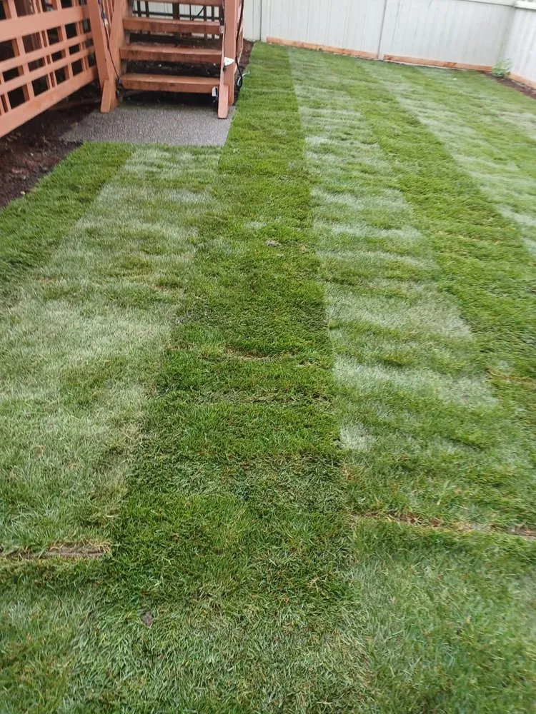 Top-rated landscaping services for homes in Lynnwood, WA by United Nations Landscape