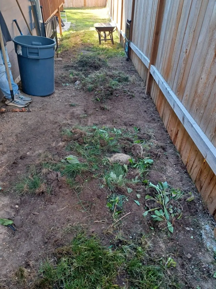Top-rated landscape installation in Lynnwood, WA - United Nations Landscape