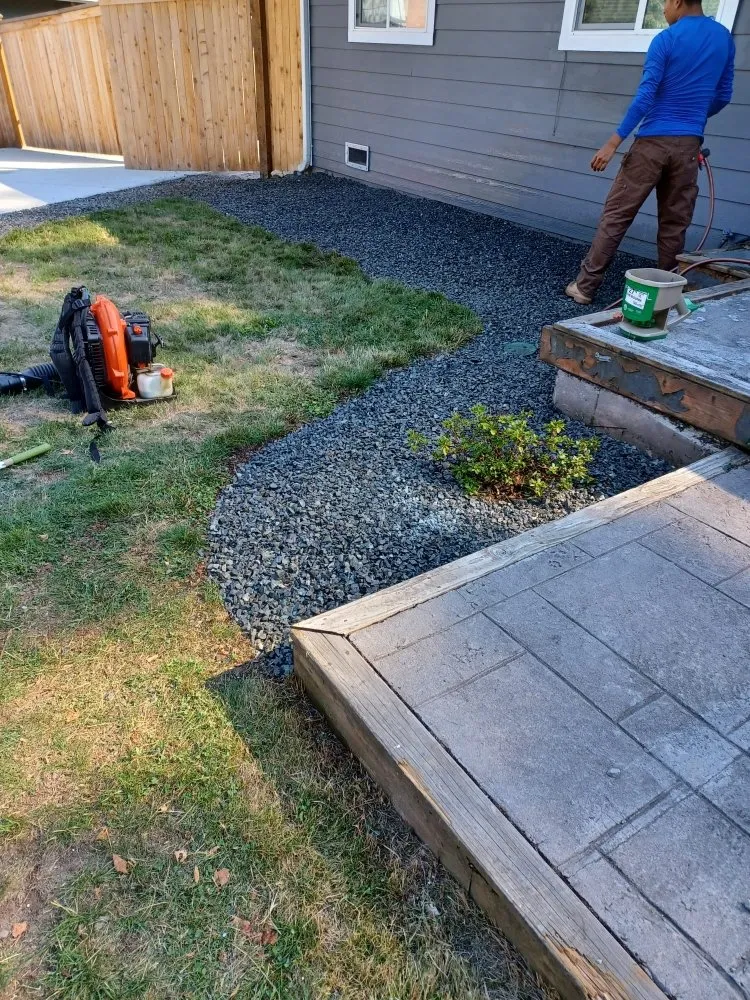 Expert lawn care service experts serving Lynnwood, WA - United Nations Landscape