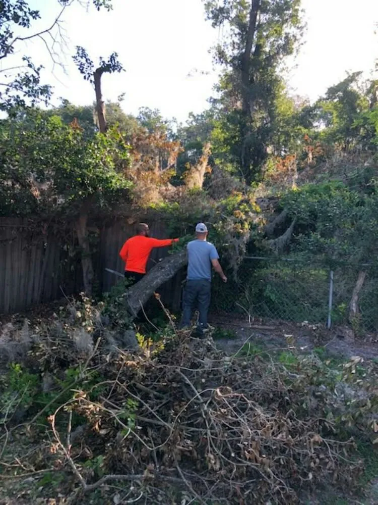 Custom lawn mowing service for beautiful yards in Tampa, FL by United Property Maintenance