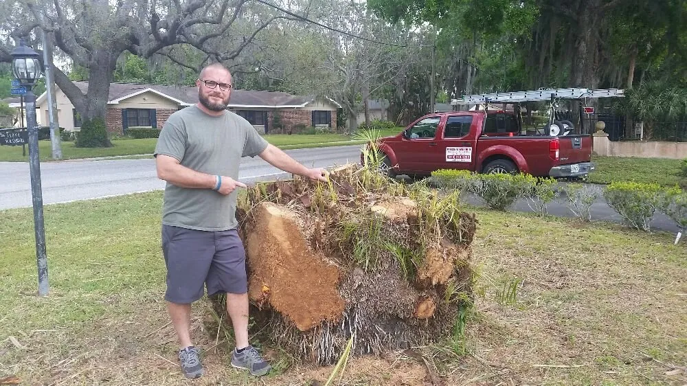 Top-rated residential landscaping in Tampa, FL - United Property Maintenance