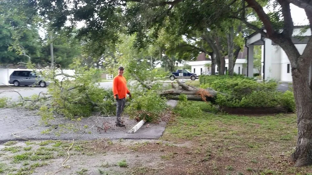 Expert landscape design near you across Tampa, FL - United Property Maintenance