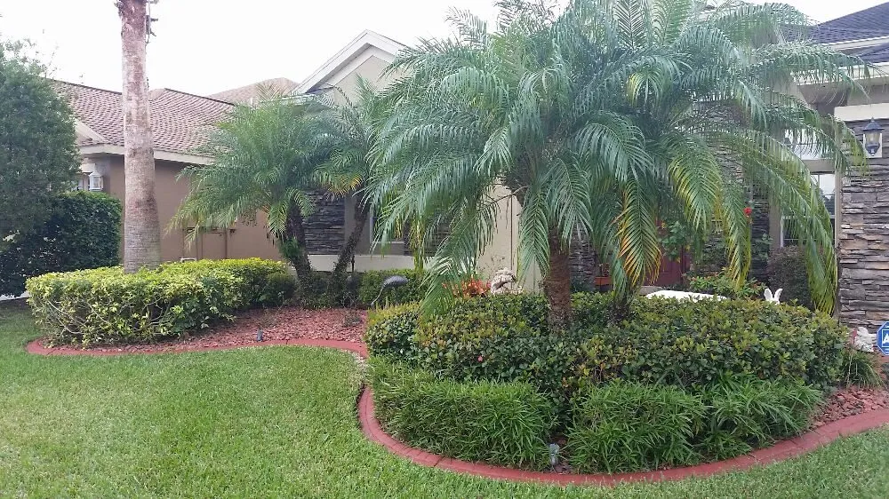 Affordable yard cleanup service in Tampa, FL - United Property Maintenance