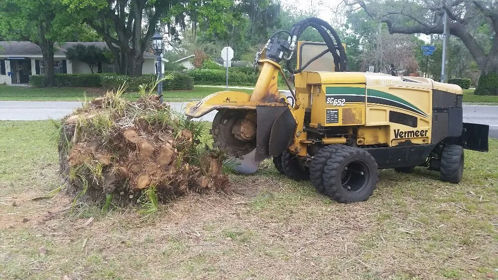 Expert landscape installation in Tampa, FL - United Property Maintenance