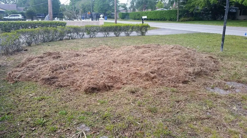 Professional landscape installation with custom design across Tampa, FL - United Property Maintenance