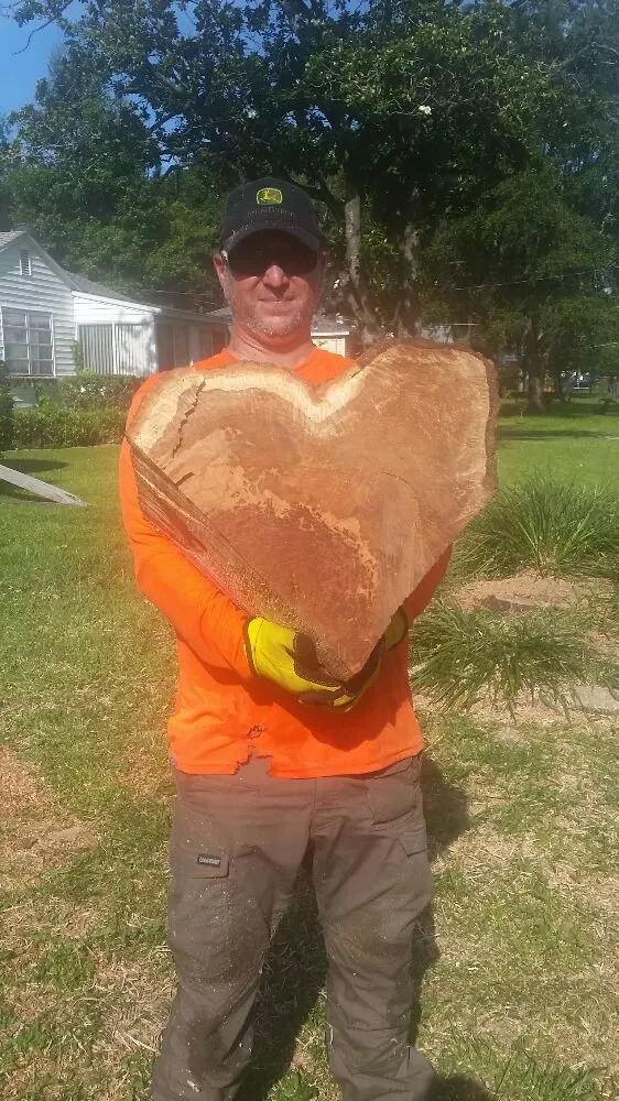 Top-rated outdoor landscaping in Tampa, FL by United Property Maintenance