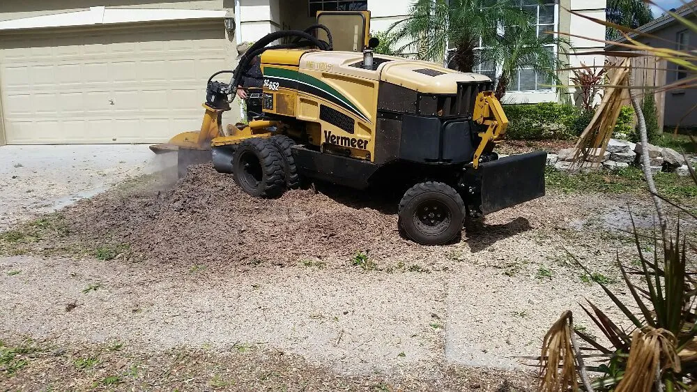 Affordable yard maintenance for outdoor upgrades across Tampa, FL - United Property Maintenance