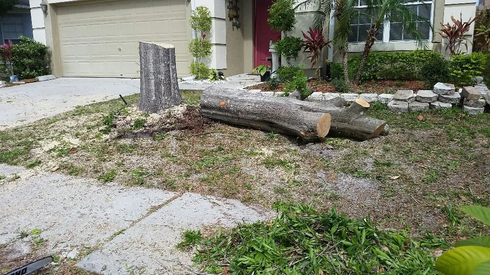 Professional residential landscaping for residential properties across Tampa, FL - United Property Maintenance