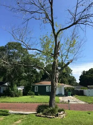 United Property Maintenance Logo