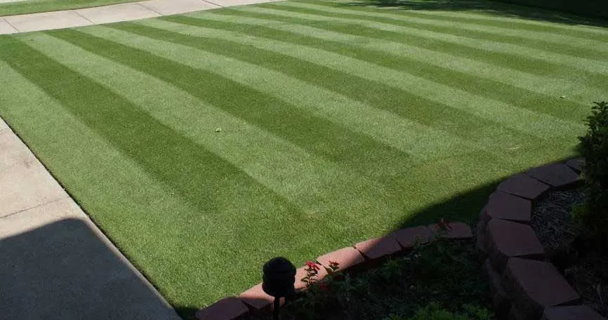 Expert yard cleanup service experts serving Thornton, CO - United Property Maintenance