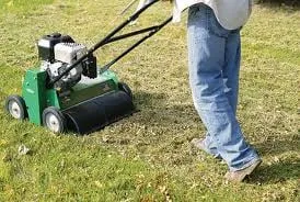 Reliable landscape installation in Thornton, CO - United Property Maintenance