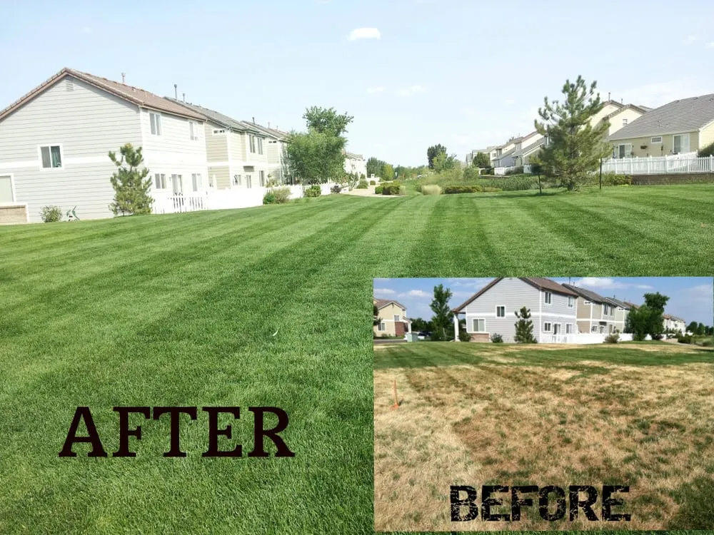 Custom garden landscaping experts serving Thornton, CO - United Property Maintenance