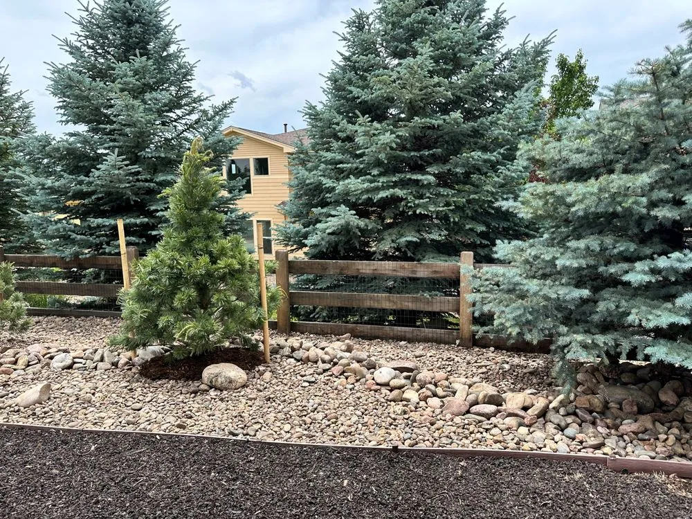 Trusted landscaping services in Parker, CO - United Property Solutions